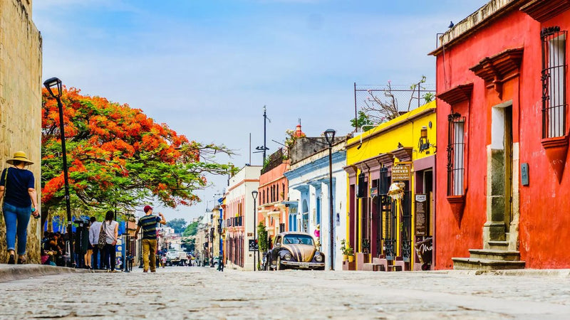 OAXACA FULL GUIDE