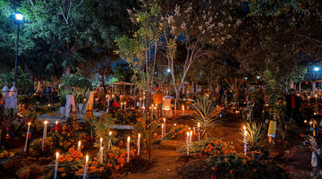 Day of the Dead: A Living Dialogue Between Worlds